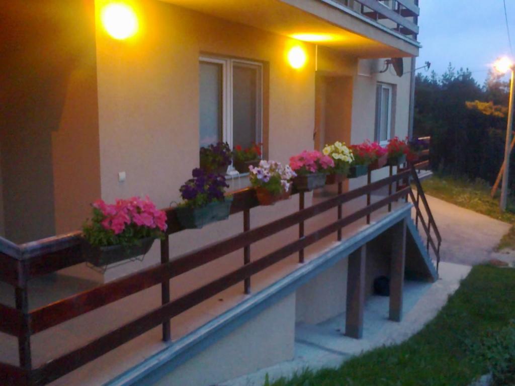 Apartments Varga Divčibare Eksteriør bilde